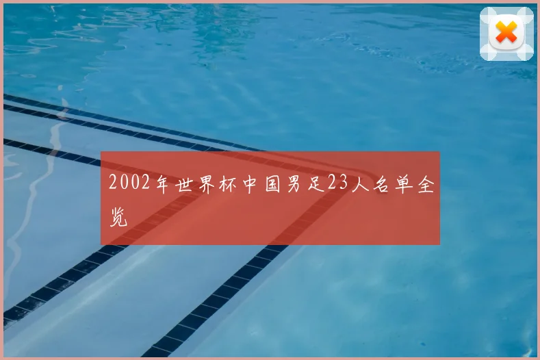 2002年世界杯中国男足23人名单全览