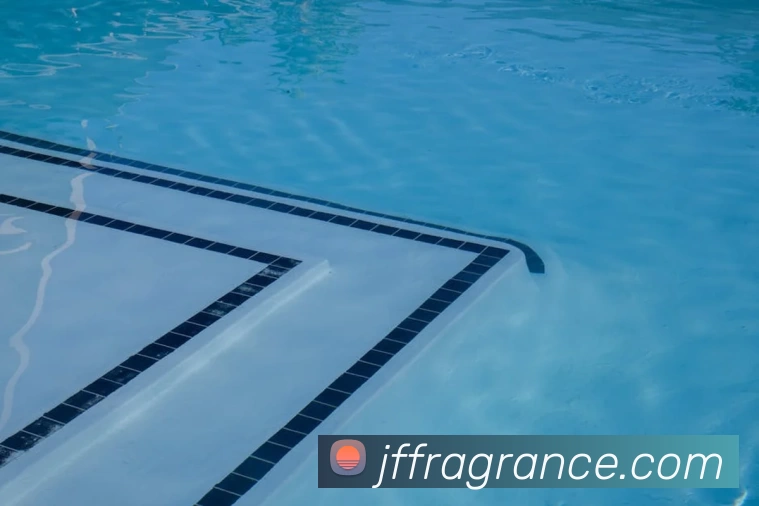 星空平台登录入口品牌故事