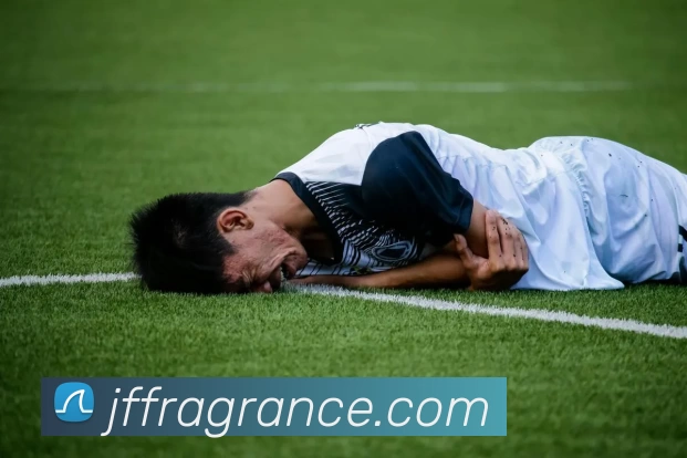 星空平台登录入口服务体系