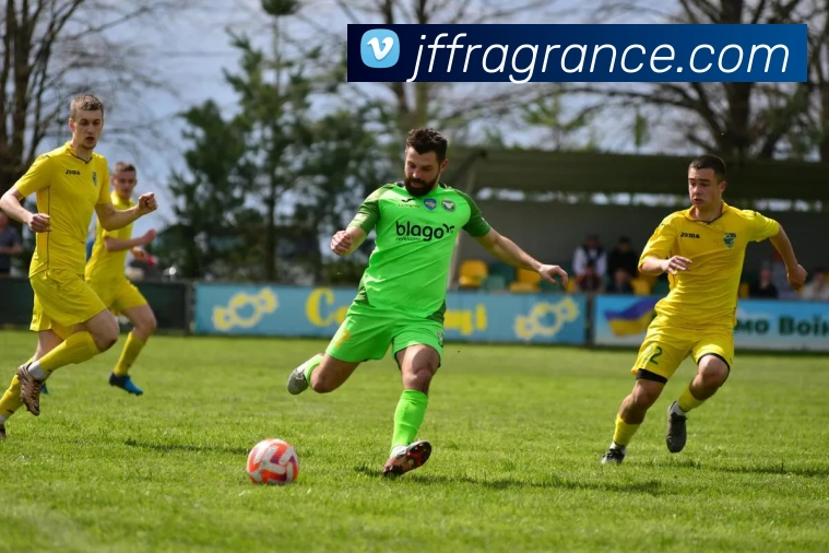 星空平台登录入口APP 体育赛事宣传图